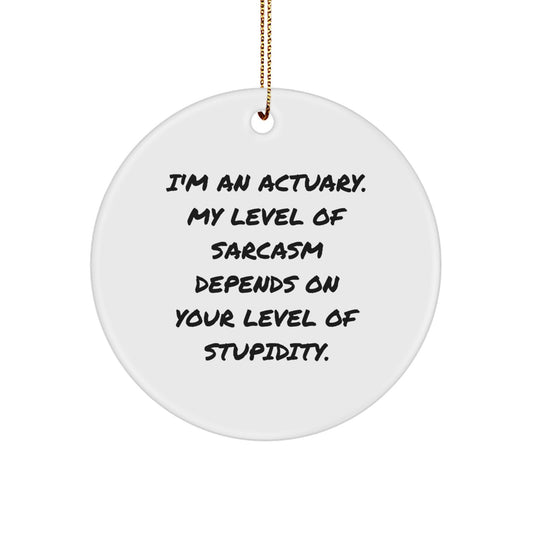 Funny Actuary Gifts for Men - I'm An Actuary Sarcasm Level Depends On Your Stupidity Christmas Ornament, Gift from Friends, Family, Coworkers to Actuary, Men, Women - Image 1