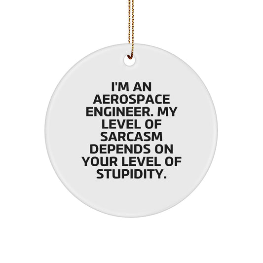 Aerospace Engineer Gifts from Friends for Men - Funny Circle Ornament with Sarcastic Quote - White Circle Shaped Christmas Unique Gifts - Image 1