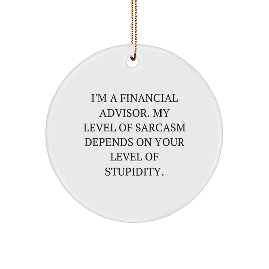 Funny Financial Advisor Gifts, Circle Ornament with Sarcasm Quote, Unique Christmas Decorations for Office, Desk or Wall - Gifts from Men, Women, Friends, Coworkers to Financial Advisors - Image 1