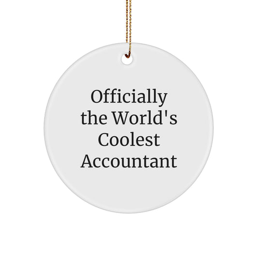Accountant Gifts, Funny Quote Circle Ornament, Christmas Unique Gifts, Gifts from Family, Gifts for Accountants - Image 1