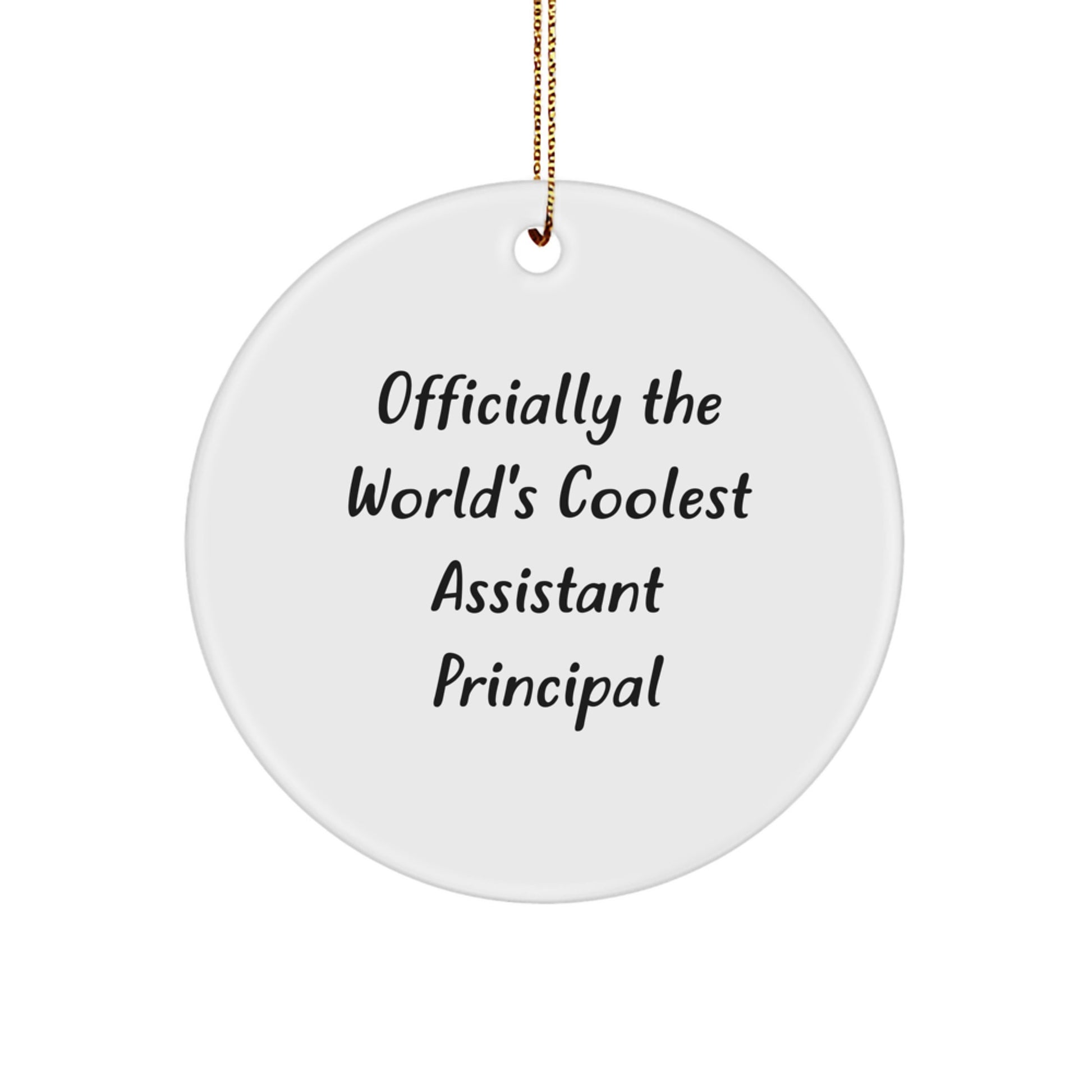 Gifts from Friends for Assistant Principal Christmas Unique Circle Ornament - 'Officially The World's Coolest Assistant Principal' Funny Quote - Image 1