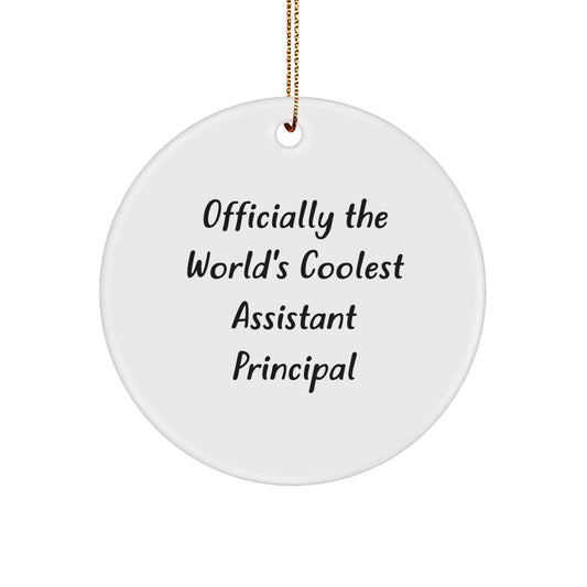 Gifts from Friends for Assistant Principal Christmas Unique Circle Ornament - 'Officially The World's Coolest Assistant Principal' Funny Quote - Image 1