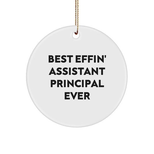 Funny Assistant Principal Gifts from Men to Best Effin' Assistant Principal Ever, Christmas Unique Circle Ornaments for Assistant Principals - Image 1