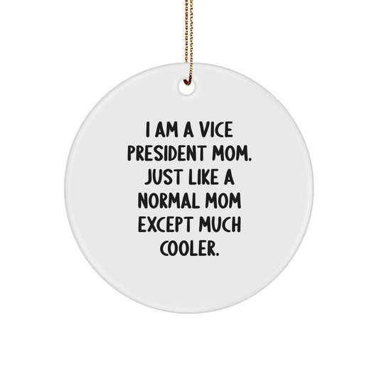 Funny Vice President Christmas Unique Gifts for Mom, Vice President Circle Ornament, I'm Much Cooler Gifts from Mom to Vice President - Image 1