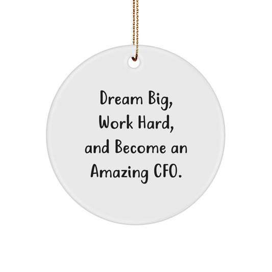 CFO Gifts from Men for Christmas Unique Circle Ornament 'Dream Big, Work Hard, And Become An Amazing Cfo.' Inspirational Christmas - Image 1