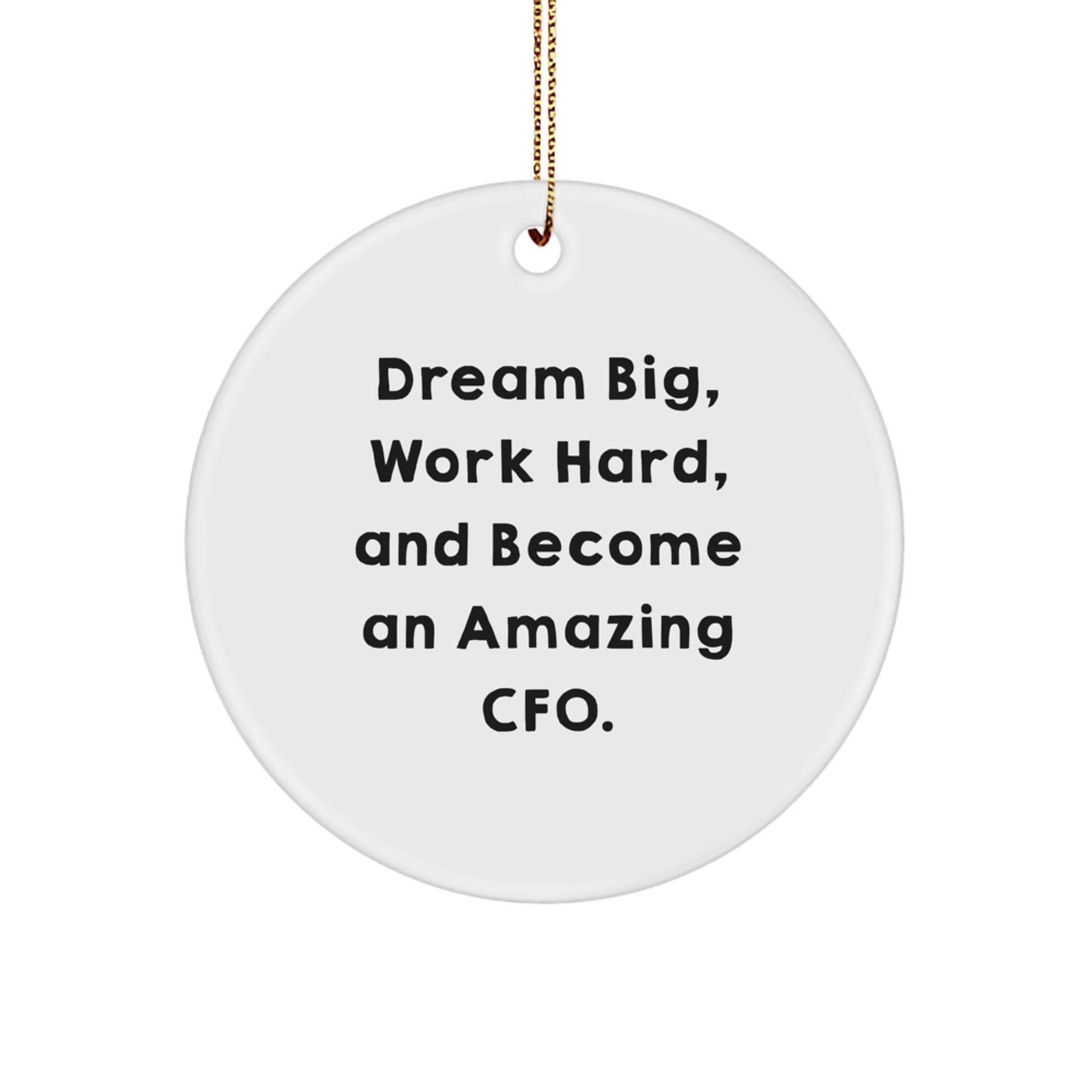 Funny CFO Gifts from Friends, Inspirational CFO Christmas Unique Circle Ornaments for Men, Women, Family, Coworkers, 'Dream Big, Work Hard, And Become An Amazing Cfo.' - Image 1