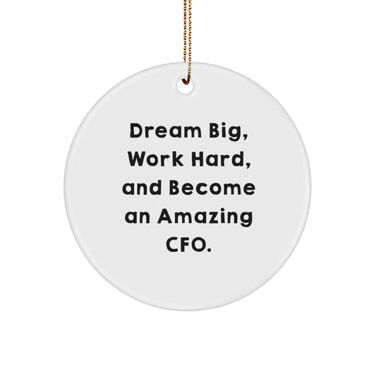 Funny CFO Gifts from Friends, Inspirational CFO Christmas Unique Circle Ornaments for Men, Women, Family, Coworkers, 'Dream Big, Work Hard, And Become An Amazing Cfo.' - Image 1