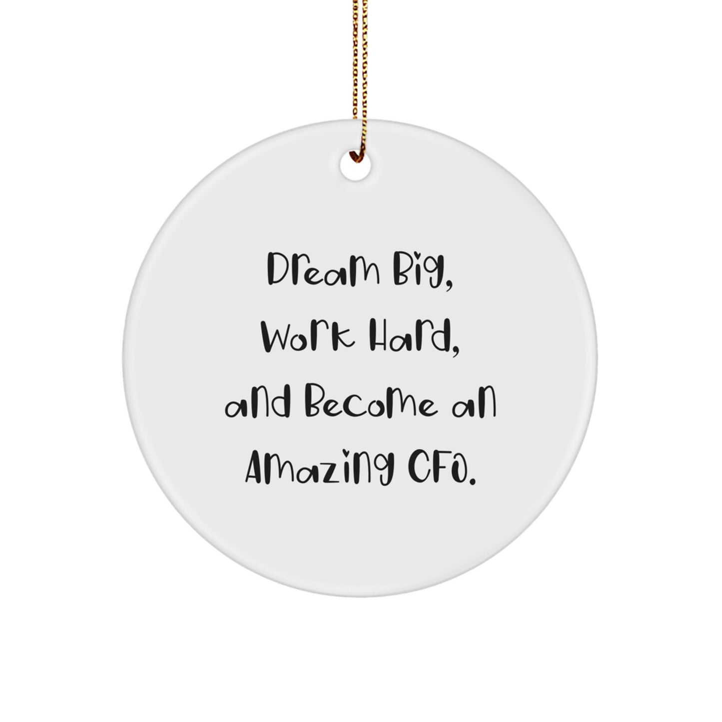 Funny CFO Gifts from Men to CFO Friends - Dream Big Work Hard Christmas Unique Circle Ornaments for CFO Office Decor - Image 1