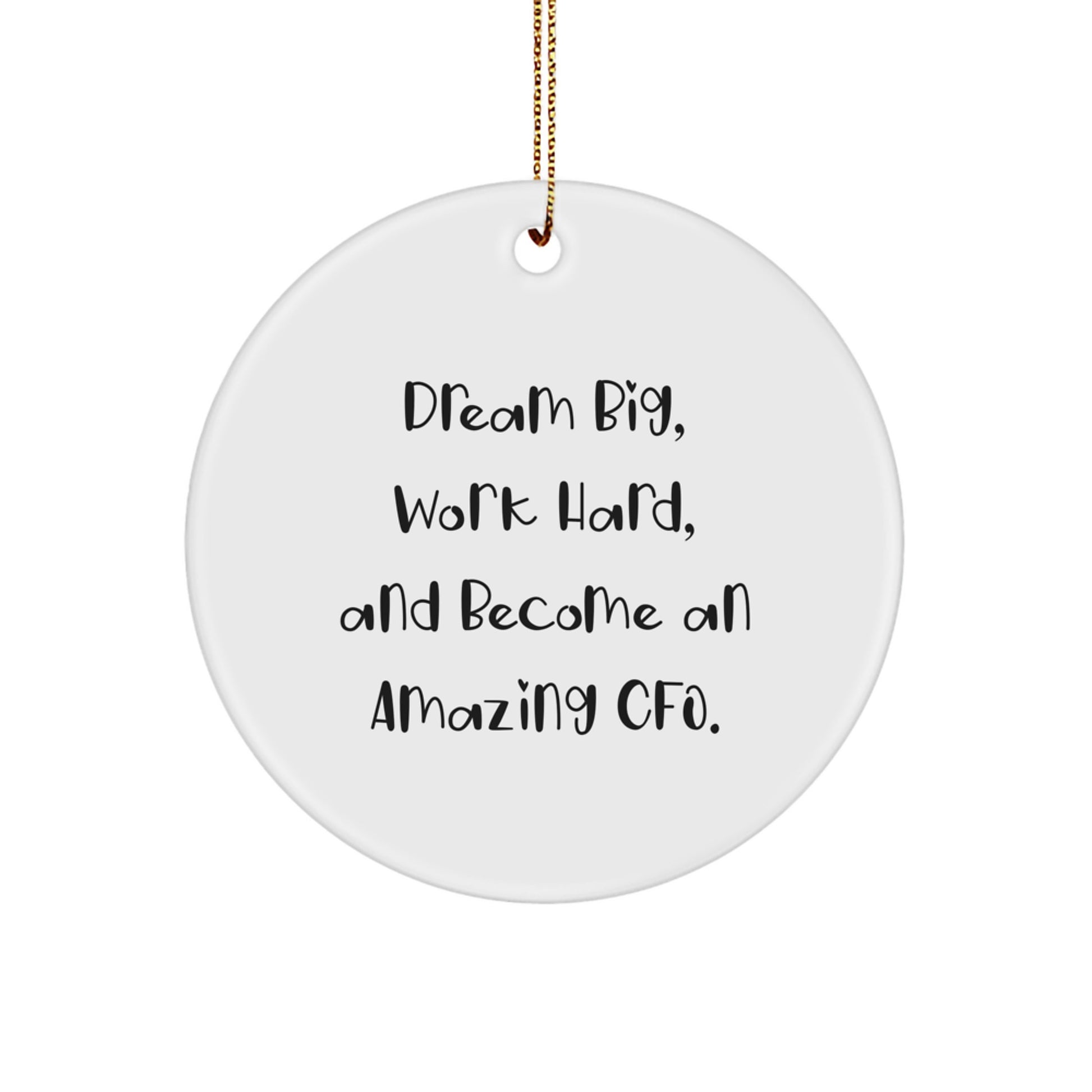 Funny CFO Gifts from Men to CFO Friends - Dream Big Work Hard Christmas Unique Circle Ornaments for CFO Office Decor - Image 1