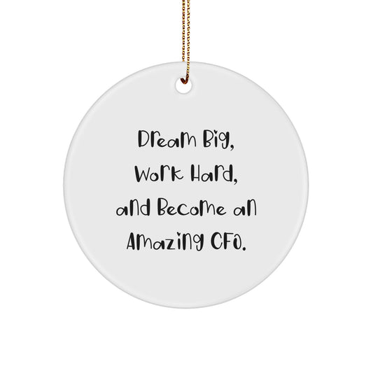 Funny CFO Gifts from Men to CFO Friends - Dream Big Work Hard Christmas Unique Circle Ornaments for CFO Office Decor - Image 1