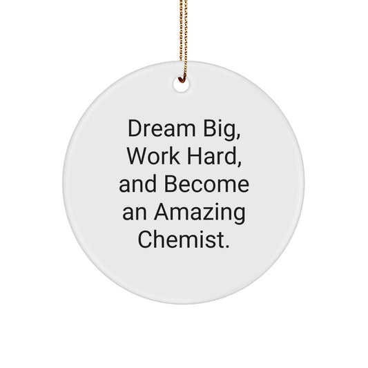 Funny Chemist Gifts from Friends for Men and Women - 'Dream Big, Work Hard' Circle Ornament, Christmas Unique Decorations - Image 1