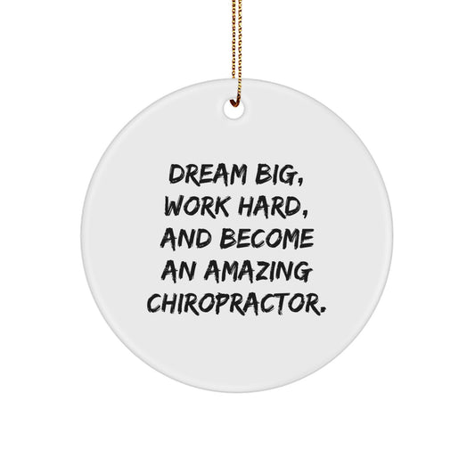 Funny Chiropractor Gifts from Men to Chiropractor, Unique Circle Ornament with 'Dream Big, Work Hard, And Become An Amazing Chiropractor' Quote, Christmas Unique Gifts - Image 1