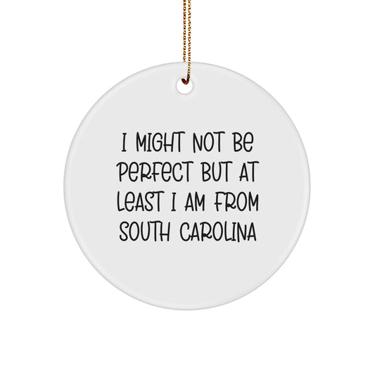 Funny South Carolina Gifts from Friends, I Might Not Be Perfect But At Least I Am From South Carolina Christmas Unique Ornaments for Men Women Friends Family - Image 1