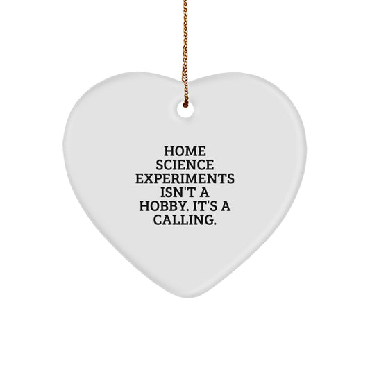 Funny Home Science Experiments Gifts for Coworkers - Heart Ornament Quote: 'Home Science Experiments Isn't A Hobby. It's A Calling.' - Gifts from Friends for Family Christmas Unique Gifts - Image 1