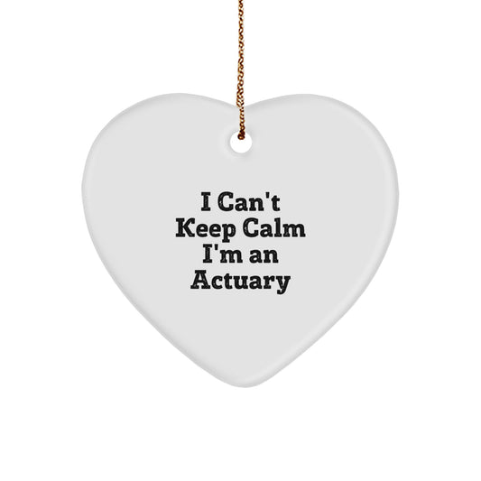 Funny Actuary Gifts from Friends for Actuary Men, I Can't Keep Calm I'm An Actuary Heart Ornament, Unique Christmas Unique Gifts for Actuary Colleagues - Image 1