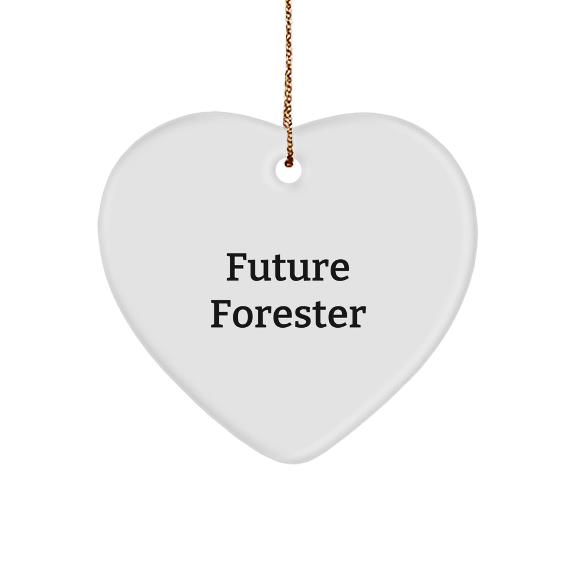 Funny Future Forester Heart Ornament Gifts from Friends and Family - Heartfelt Christmas Unique Gifts for Forester Men Women - Image 1