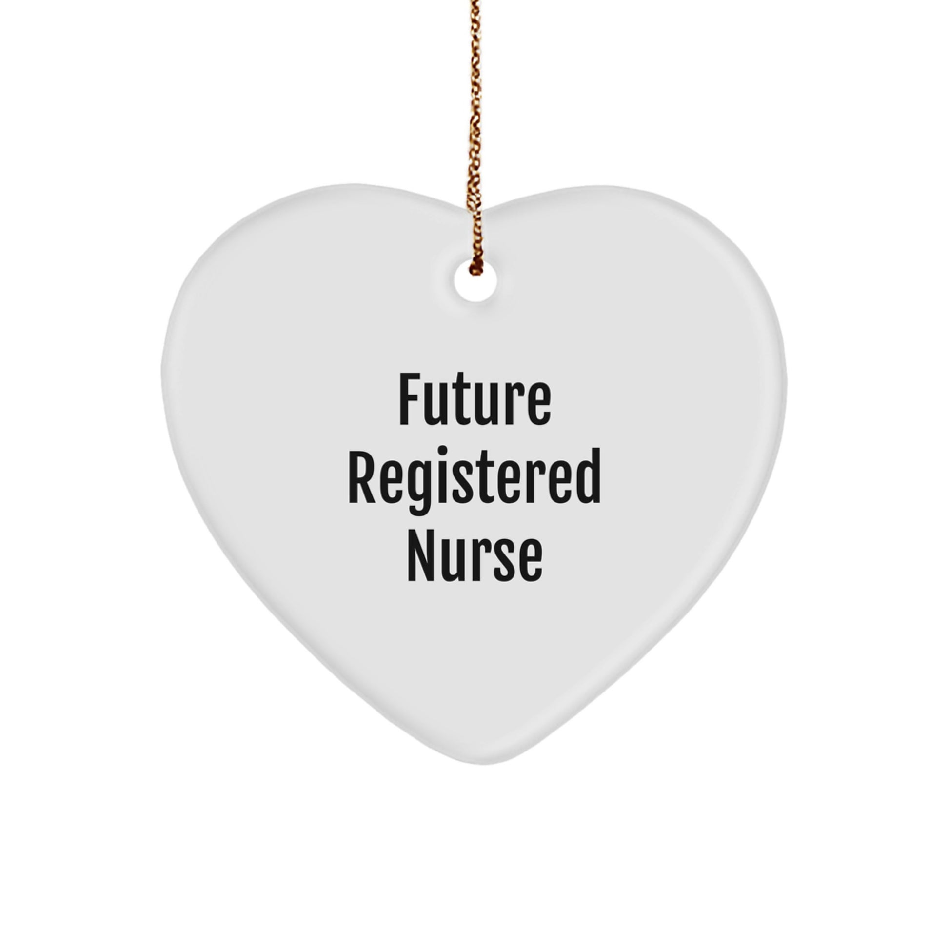 Future Registered Nurse Gifts from Family - Heart Ornament with Funny Quote - Unique Christmas Unique Gifts for Registered Nurses - Image 1