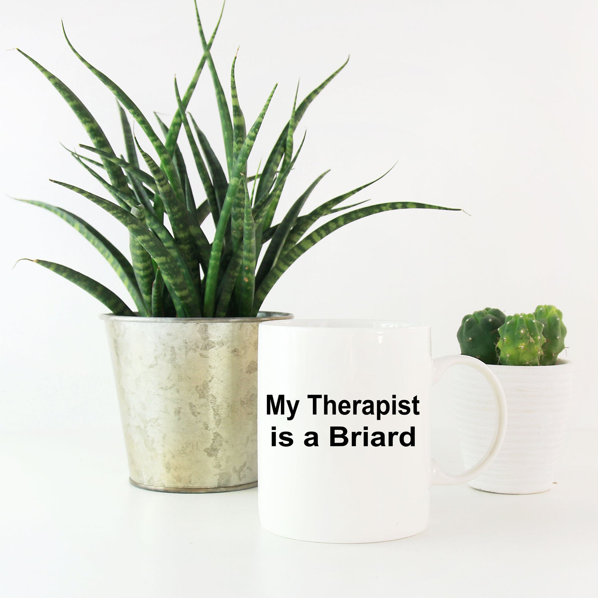 Briard Dog Therapist Mug - Mallard Moon Gift Shop