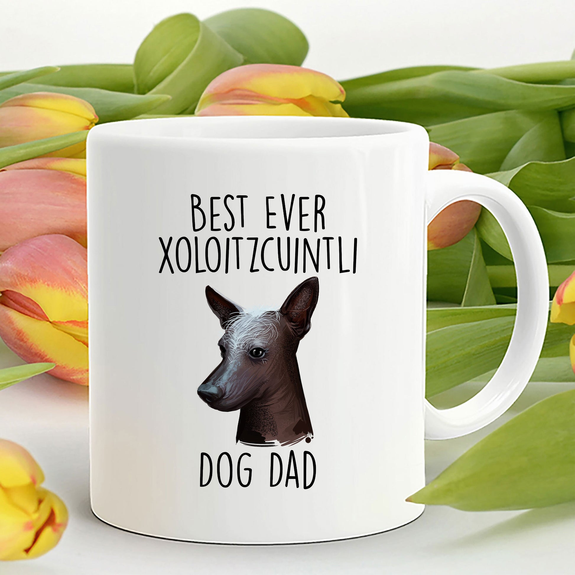 Best Ever Xoloitzcuintli Dog Dad Custom Ceramic Coffee Mug - Mallard Moon Gift Shop