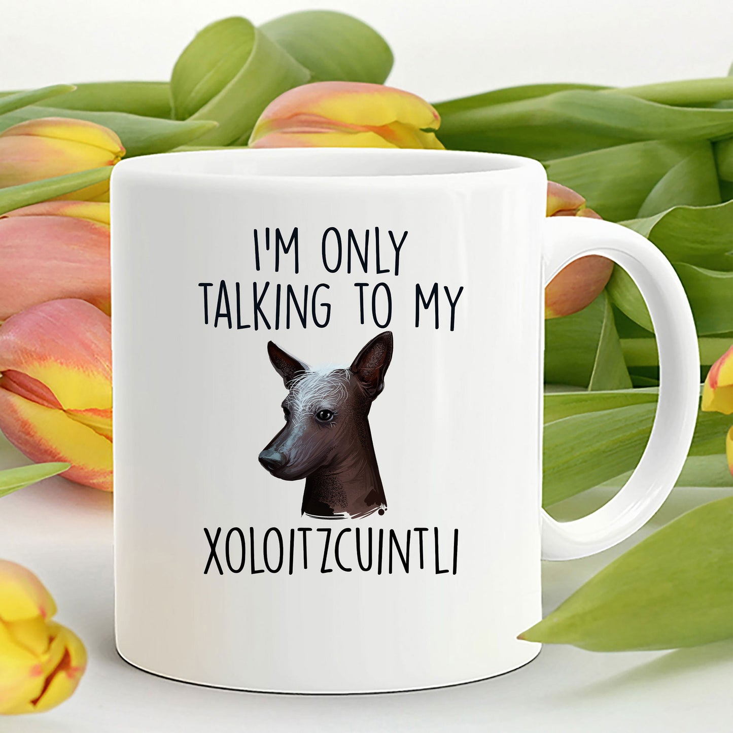 Funny Dog Custom Coffee Mug - I'm Only Talking to my Xoloitzcuintli - Mallard Moon Gift Shop