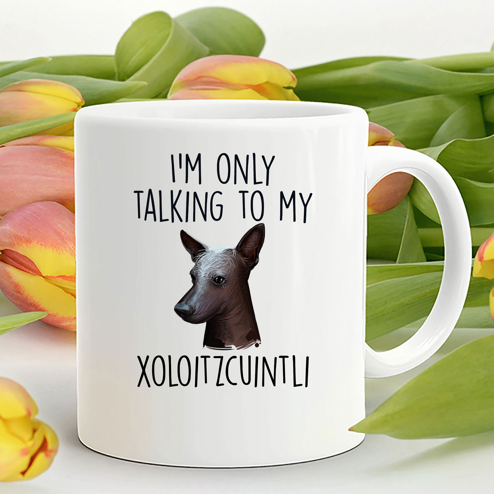 Funny Dog Custom Coffee Mug - I'm Only Talking to my Xoloitzcuintli - Mallard Moon Gift Shop