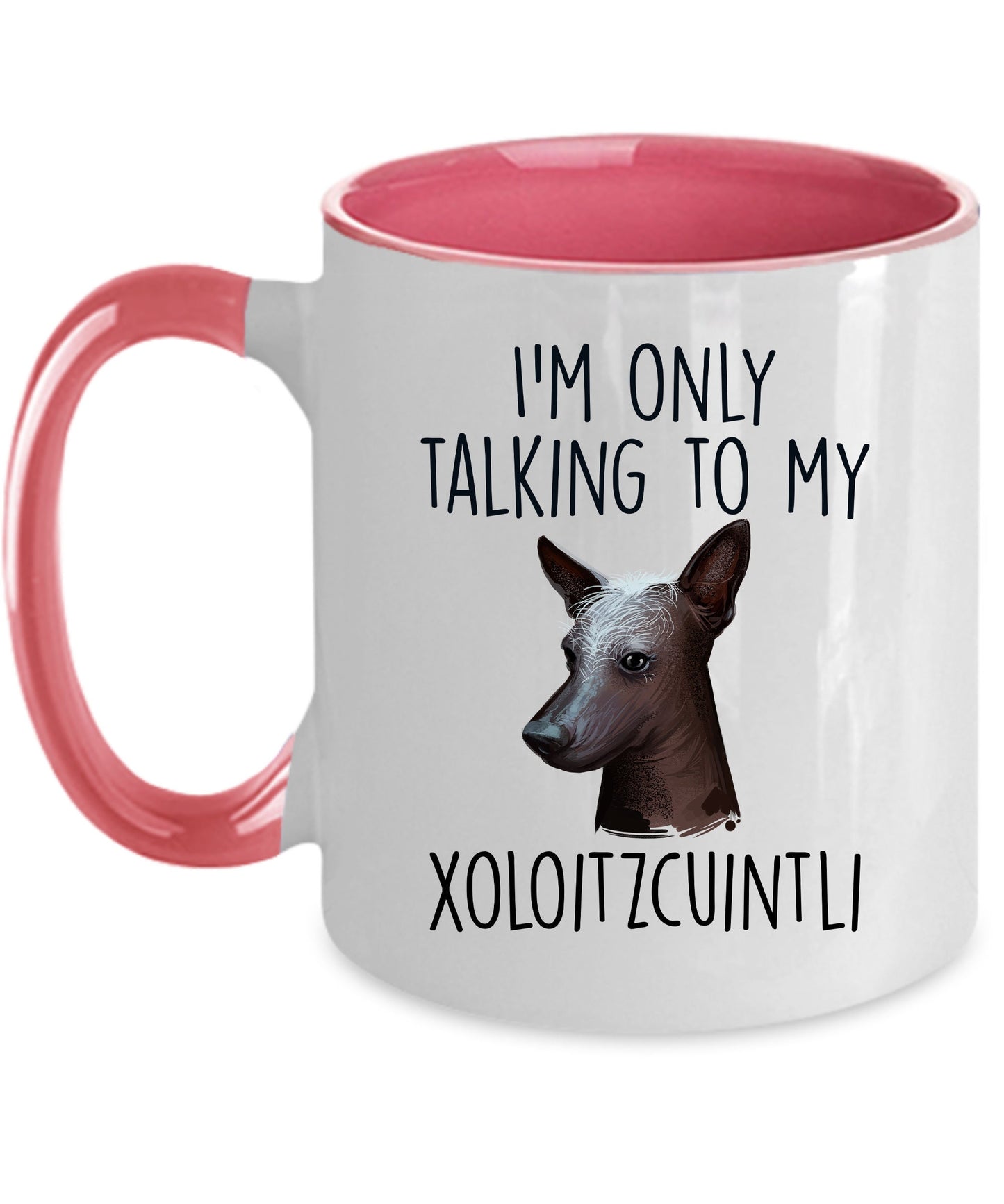 Funny Dog Custom Coffee Mug - I'm Only Talking to my Xoloitzcuintli - Mallard Moon Gift Shop