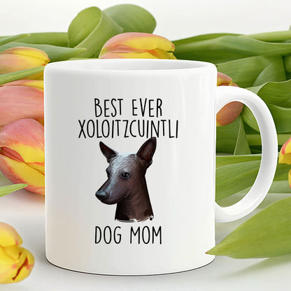 Best Ever Xoloitzcuintli Dog Mom Custom Ceramic Coffee Mugs - Mallard Moon Gift Shop