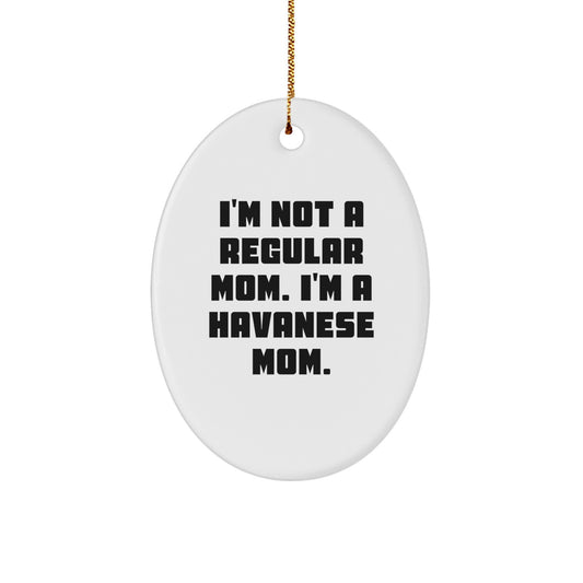 Havanese Dog Mom Funny Oval Ornament Gifts from Friends and Family for Christmas - Image 1