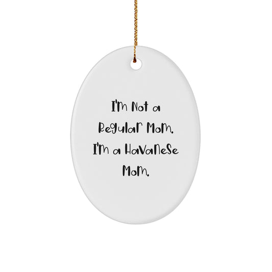 Funny Havanese Dog Mom Oval Ornament Gifts from Family at Christmas - Image 1