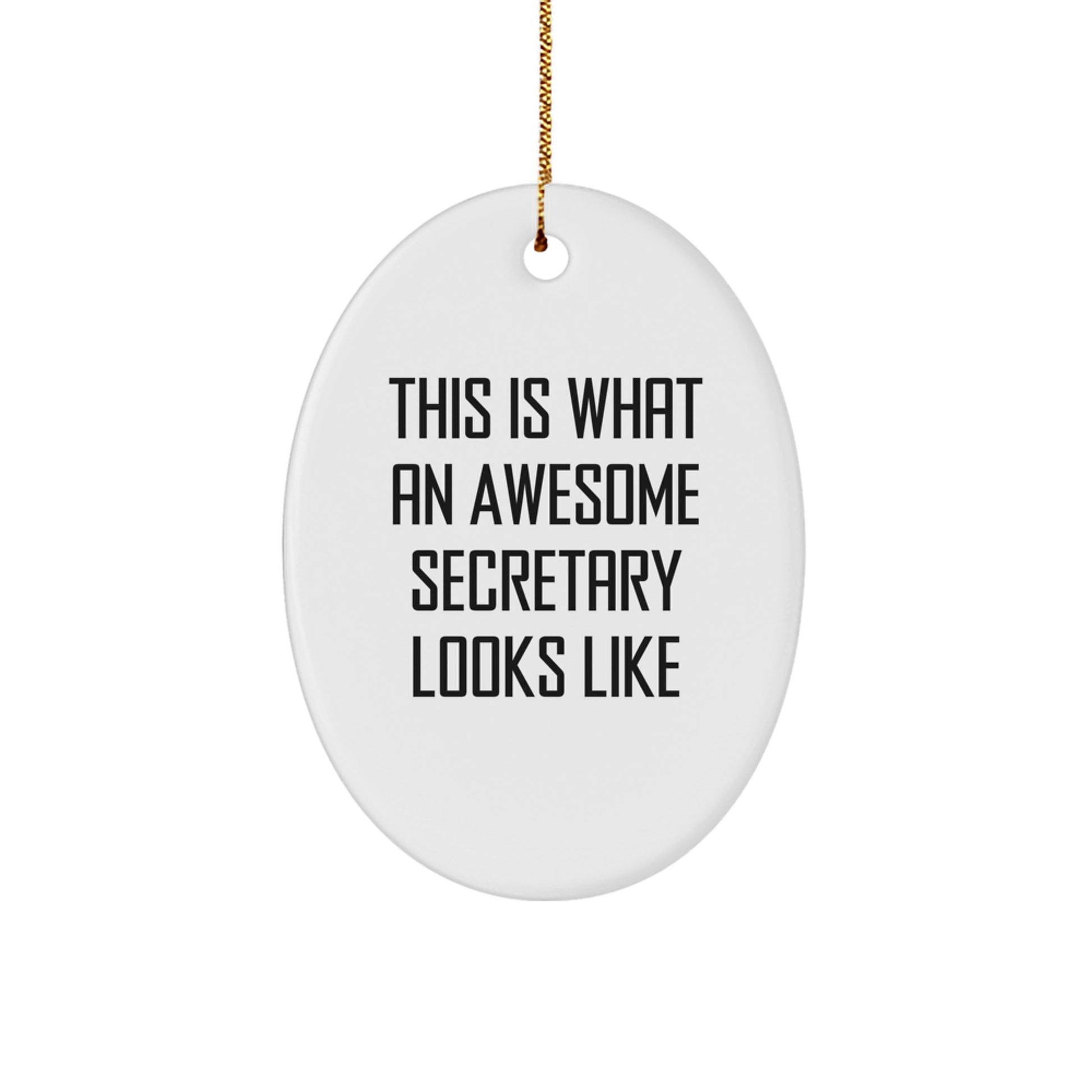 Secretary Gifts from Friends, Awesome Quote Oval Ornament for Christmas, Funny Present for Women, Office Decor - Image 1