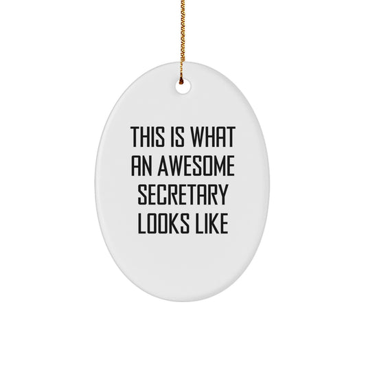 Secretary Gifts from Friends, Awesome Quote Oval Ornament for Christmas, Funny Present for Women, Office Decor - Image 1