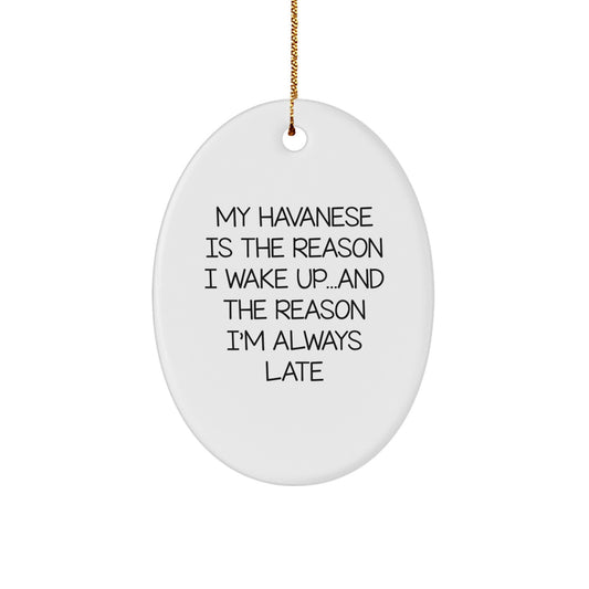 My Havanese Is The Reason I Wake Up... and The Reason I'm Always Late | Oval MDF Ornament with Gloss Finish & Gold Cord