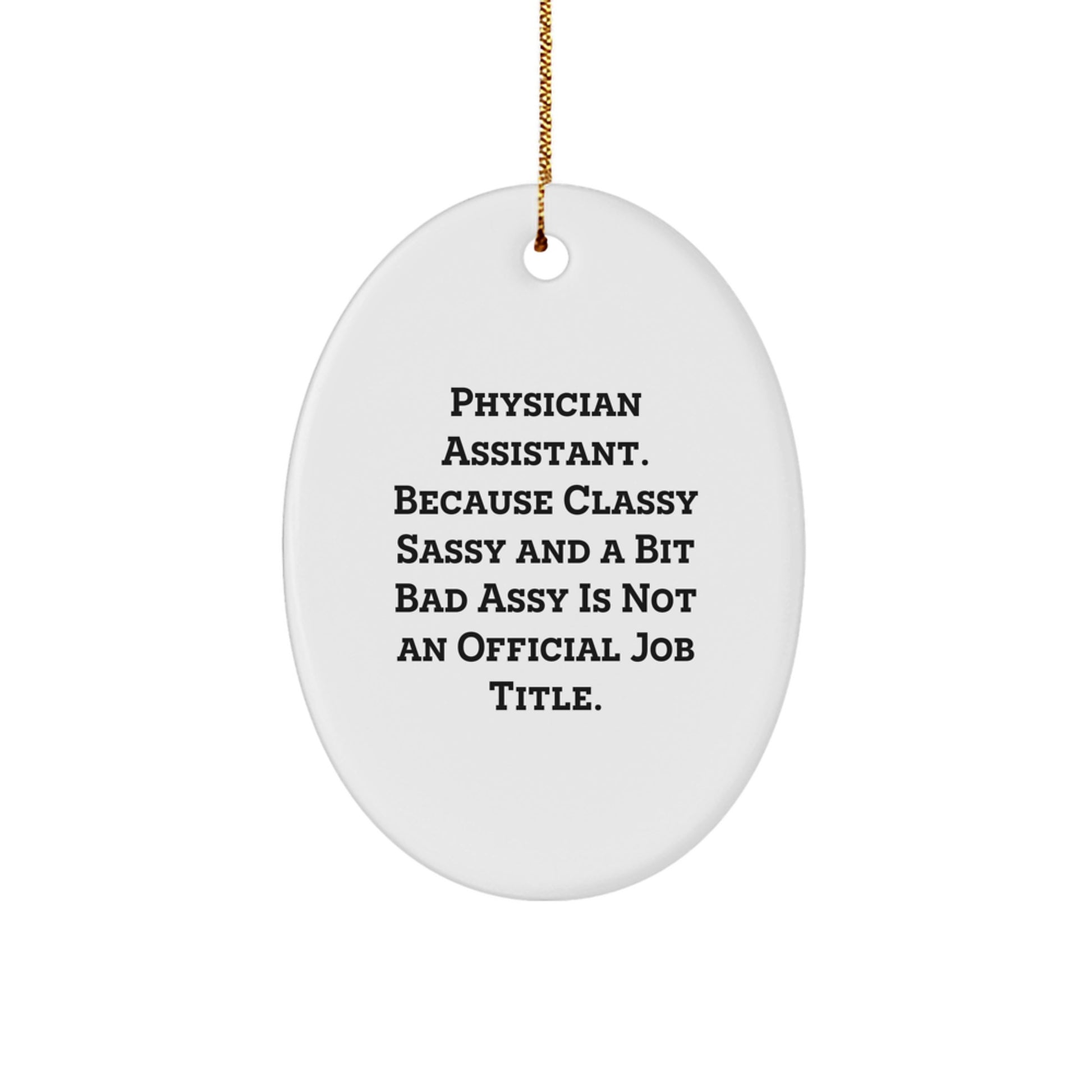 Gifts from Friends for Physician Assistant - Funny Oval Ornament, Physician Assistant Gifts, Christmas Decorations with Humor - Image 1