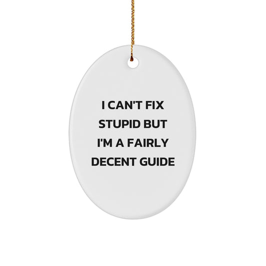 Unique Funny Guide Gifts for Friends and Family - Oval Ornament with I Can't Fix Stupid But I'm A Fairly Decent Guide Quote, Christmas Unique Gift Ideas - Image 1