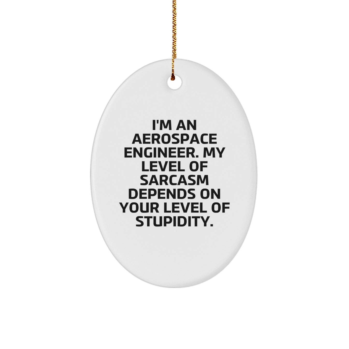 Funny Aerospace Engineer Oval Ornament, Gifts from Friends for Men, Women, Coworkers, 'I'm an Aerospace Engineer. My Level Of Sarcasm Depends On Your Level Of Stupidity.' - Image 1