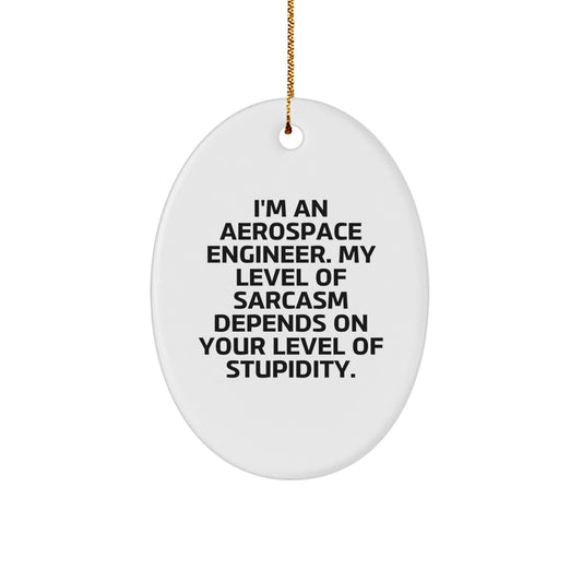 Funny Aerospace Engineer Oval Ornament, Gifts from Friends for Men, Women, Coworkers, 'I'm an Aerospace Engineer. My Level Of Sarcasm Depends On Your Level Of Stupidity.' - Image 1