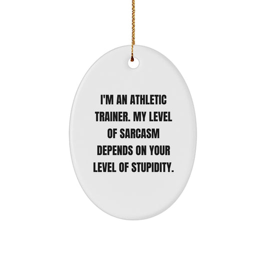 Funny Athletic Trainer Oval Ornament Gifts from Friends for Men on Christmas Unique - Image 1
