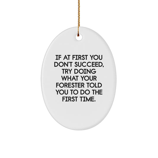 Funny Forester Oval Ornament Gifts from Friends for Men, Christmas Unique Gifts for Forester, Oval Ornament Decoration, If At First You Don't Succeed Quote - Image 1