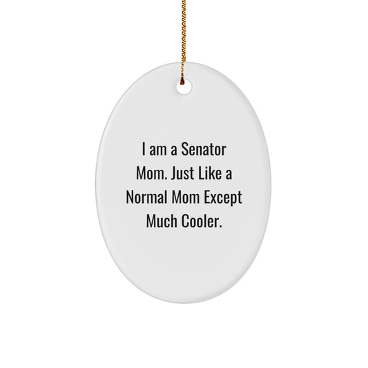 Oval Ornament Gifts from Men for Senator - Funny Senator Mom Quote - Christmas Unique Gifts for Senator Mom - Image 1