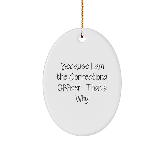 Funny Correctional Officer Oval Ornament Gifts from Friends and Family for Christmas Unique Presents for Correctional Officer Men - Image 1