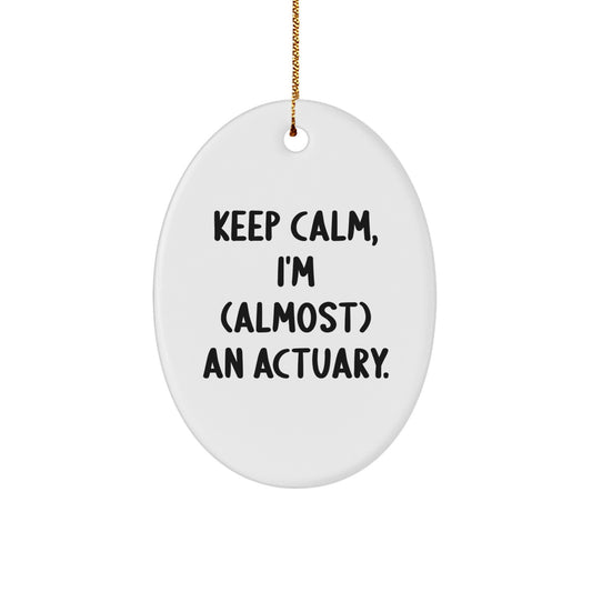 Funny Christmas Unique Gifts for Actuaries, Oval Ornament with 'Keep Calm, I'm (almost) An Actuary.' Quote, Unique Actuary Office Decor - Image 1