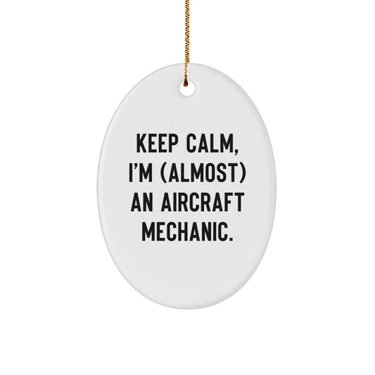 Funny Aircraft Mechanic Oval Ornament Gifts for Men Christmas Unique Presents from Friends - Image 1