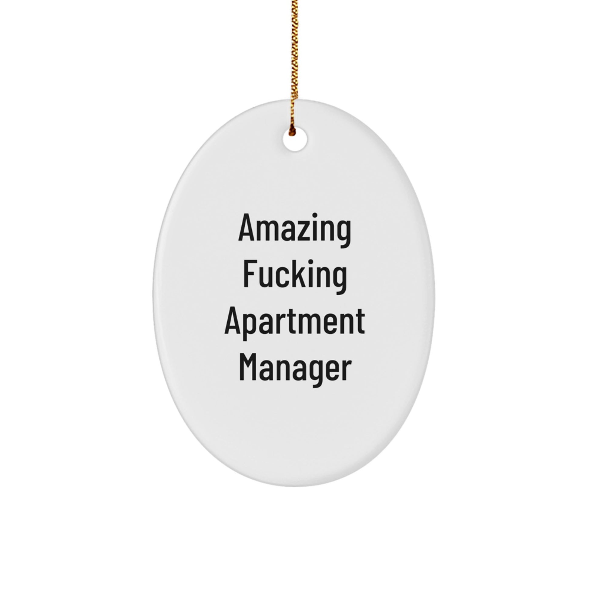 Funny Gifts from Friends for Apartment Manager, Oval Ornament, Amazing F--king Apartment Manager Christmas Unique - Image 1