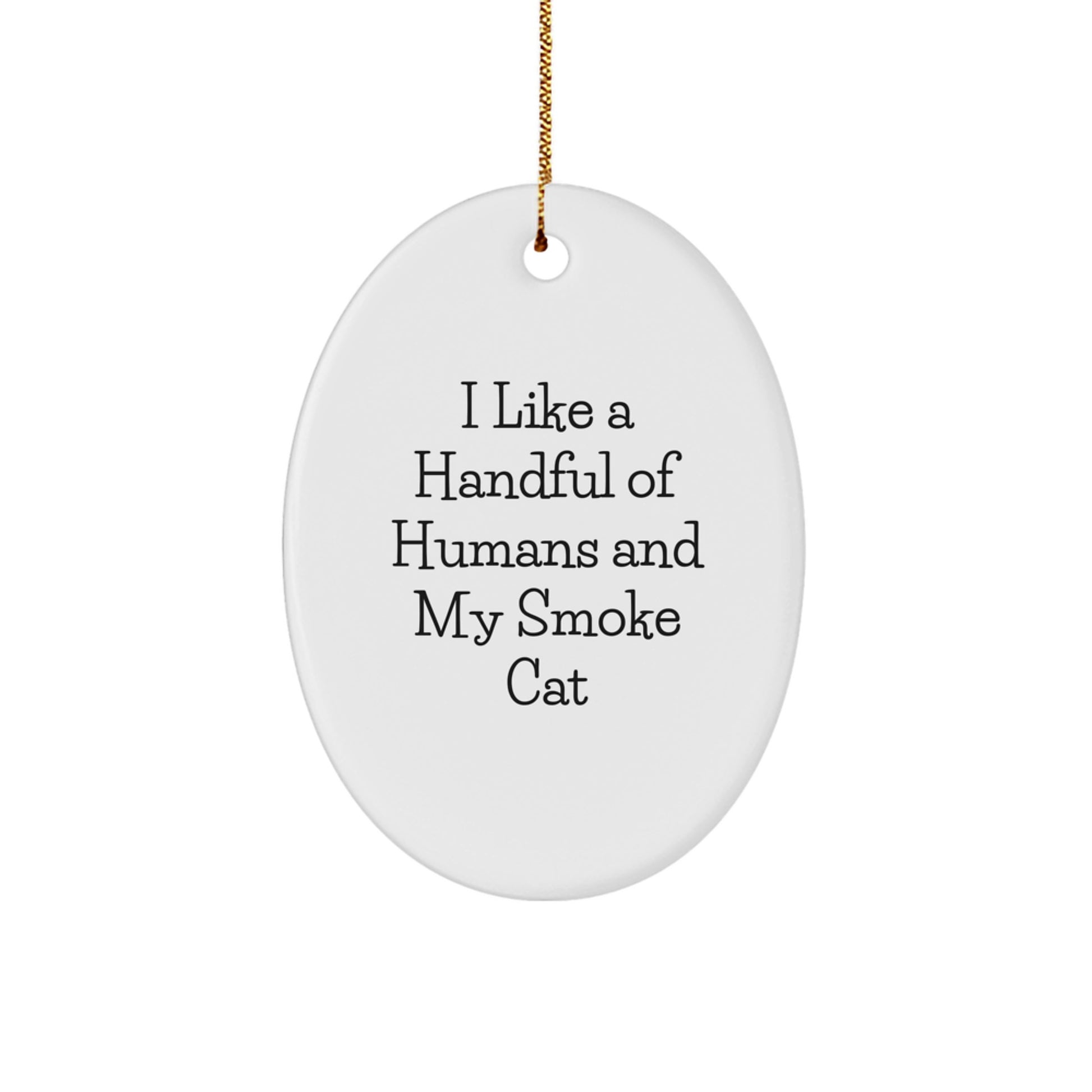 Funny Smoke Cat Oval Ornament Gifts from Family for Smoke Cat Lovers - Unique Christmas Decorations for Home - Oval Ornament with 'I Like A Handful Of Humans And My Smoke Cat' Quote - Image 1