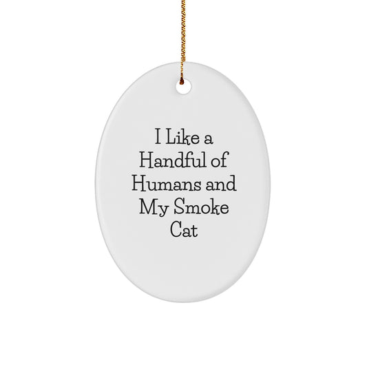 Funny Smoke Cat Oval Ornament Gifts from Family for Smoke Cat Lovers - Unique Christmas Decorations for Home - Oval Ornament with 'I Like A Handful Of Humans And My Smoke Cat' Quote - Image 1