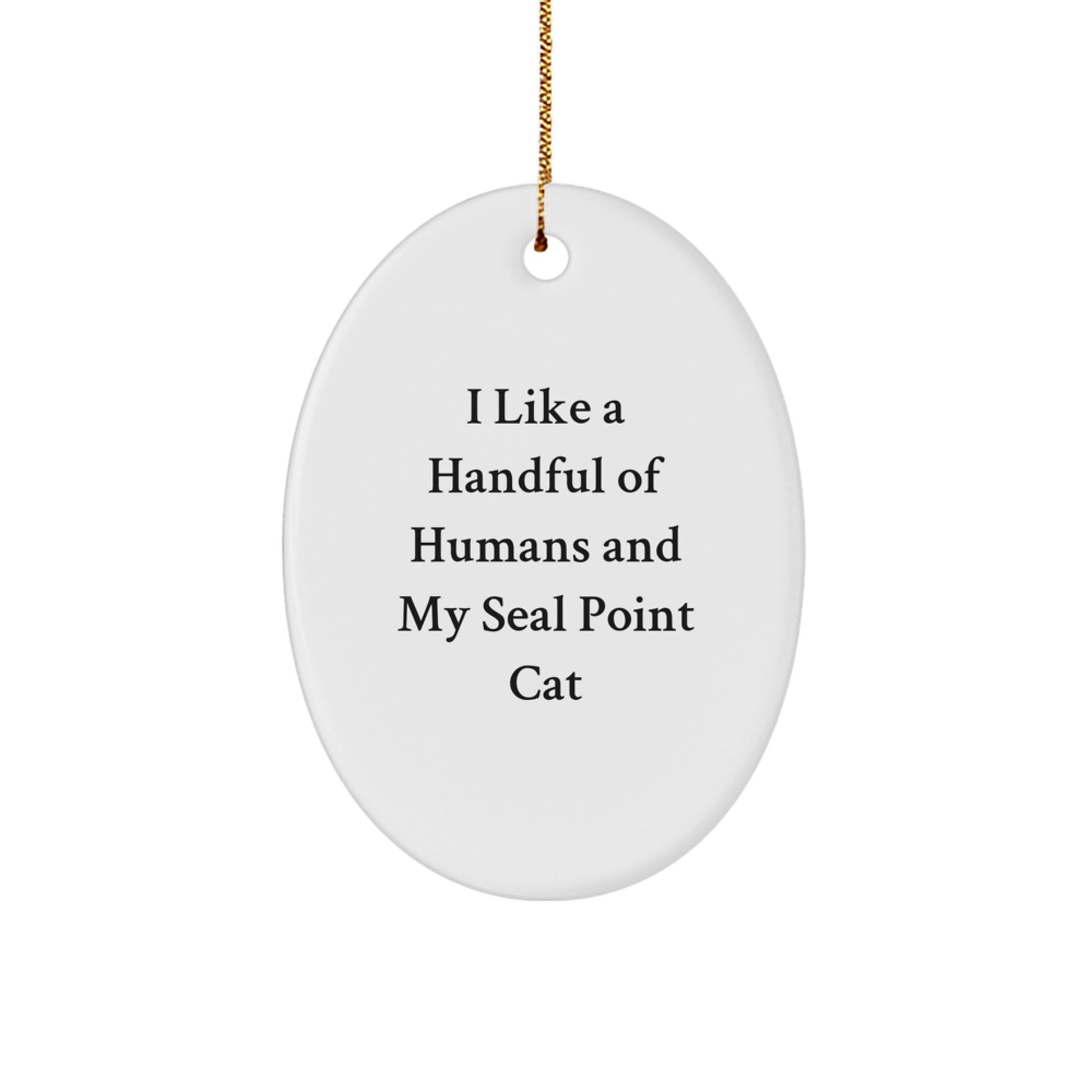 Funny Seal Point Cat Oval Ornament Gifts from Friends for Cat Lovers on Christmas - Image 1