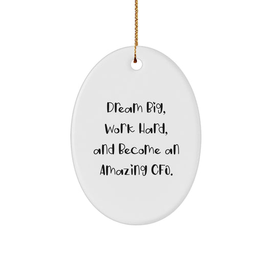 CFO Gifts from Friends, Inspirational Oval Ornament for CFO, Christmas Unique Gifts for Men - Image 1