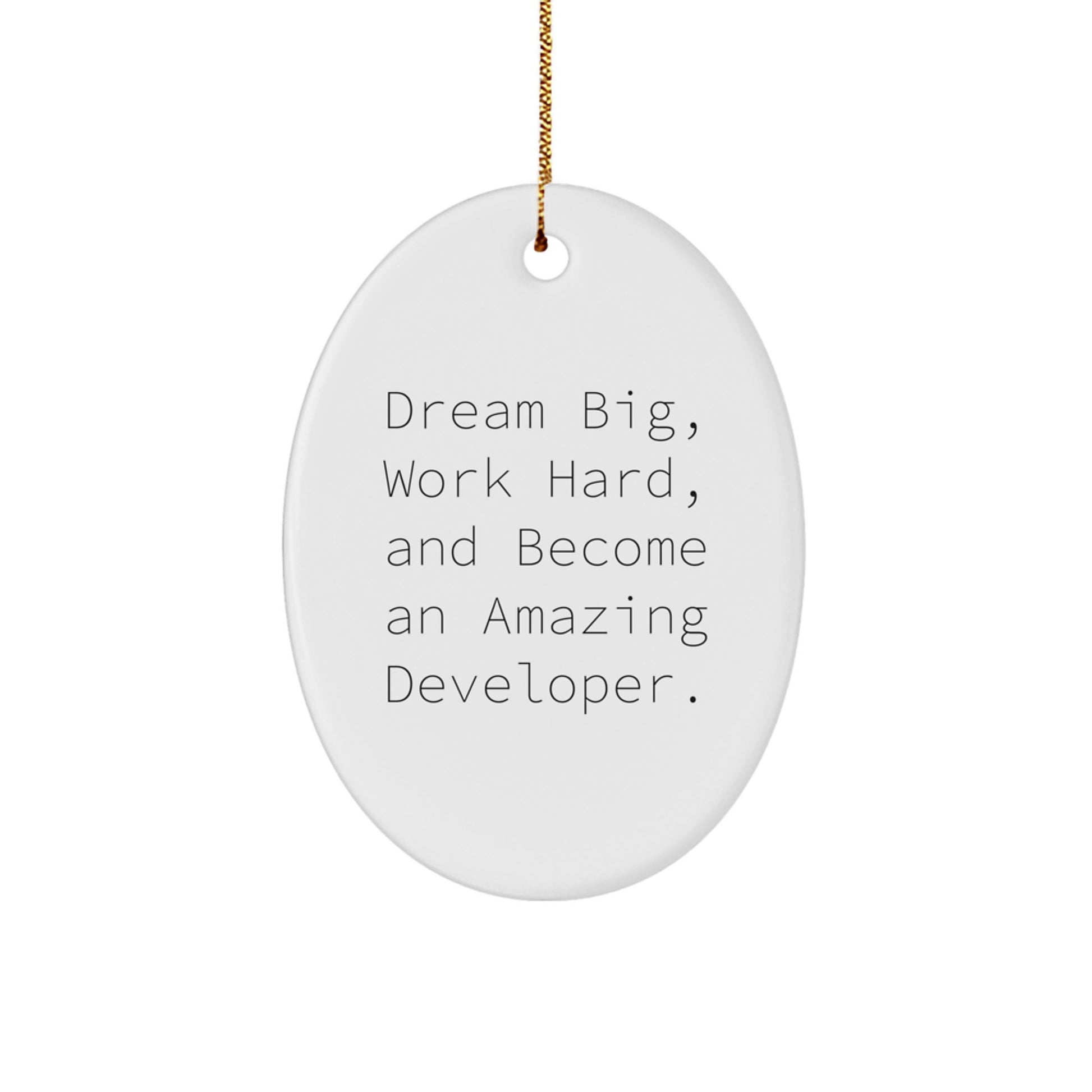 Developer Oval Ornament Gifts from Friends for Men - Dream Big, Work Hard, Become Amazing - Christmas Unique Ornaments - Image 1