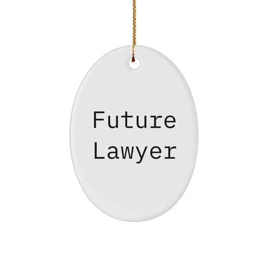 Funny Lawyer Quote Oval Ornament Gifts from Men to Future Lawyer for Christmas Unique Presents - Image 1