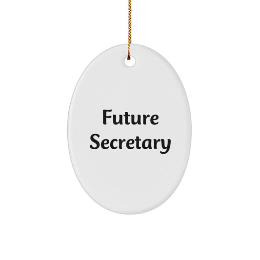 Funny Secretary Gifts from Men - Oval Ornament for Secretary Friends, Christmas Unique Gifts, Inspirational Quote for Future Secretary - Gifts for Secretary Coworkers - Image 1